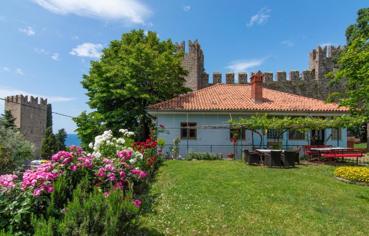 Apartment Walls Of And Piran